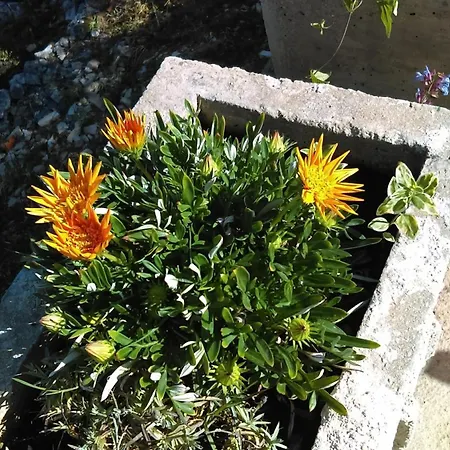 Casa de Férias Seaside House Cove Bristva, Korcula - 14892 Prizba