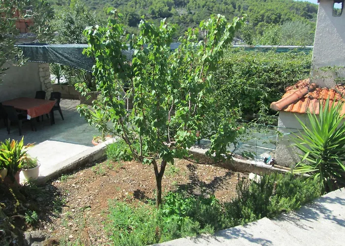 Seaside House Cove Bristva, Korcula - 14892 Σπίτι διακοπών *